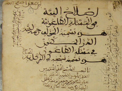 Aparece en El Cairo el manuscrito de una obra perdida del almeriense al-Bilyani sobre la peste de mediados del siglo XIV