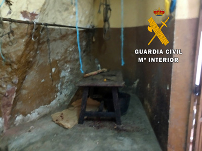 Noticia de Almería 24h: La Guardia Civil localiza en Berja un matadero clandestino que puede haber puesto en riesgo la salud de los consumidores