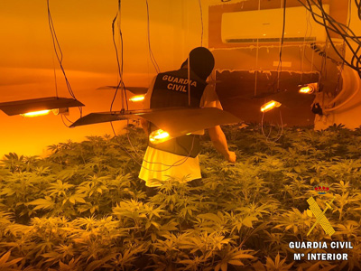 La operación Cruzplan concluye con el hallazgo de más de 3.000 plantas de marihuana en un bloque de viviendas