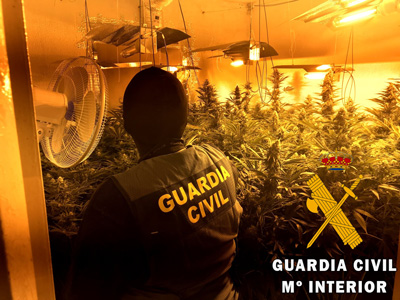 Noticia de Almería 24h: La Guardia Civil localiza una plantación Indoor de marihuana con 121 plantas en Roquetas de Mar
