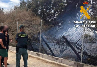 Noticia de Almería 24h: La Guardia Civil interviene un cultivo de marihuana durante la extinción de un incendio en un invernadero