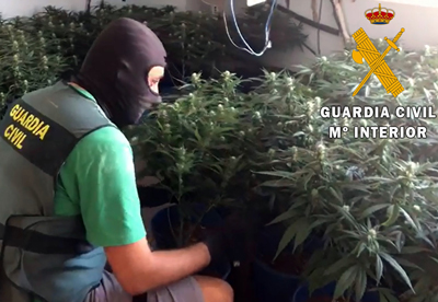 La Guardia Civil de Almera desmantela un cultivo indoor de marihuana en Roquetas de Mar