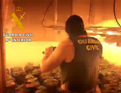 Noticia de Almería 24h: La Guardia Civil interviene por segunda vez un cultivo de marihuana en la misma vivienda ocupada en Roquetas de Mar