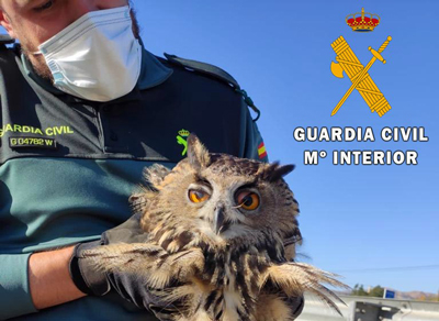 Noticia de Almera 24h: La Guardia Civil realiza de manera permanente actuaciones en el mbito de proteccin de la naturaleza  