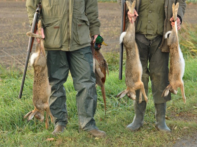 Ecologistas en Acción: En plena pandemia y confinamientos, la junta autoriza a los cazadores a moverse libremente por Andalucía