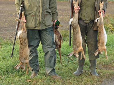 Noticia de Almera 24h: Ecologistas en Accin: En plena pandemia y confinamientos, la junta autoriza a los cazadores a moverse libremente por Andaluca