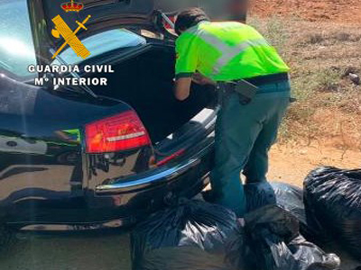 Adelanta a un vehculo de la Guardia Civil con un coche de gran cilindrada, a mucha velocidad y con 44 kilos de cogollos de marihuana