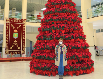 Noticia de Almera 24h: La Navidad ilumina desde hoy las calles y plazas del municipio de El Ejido