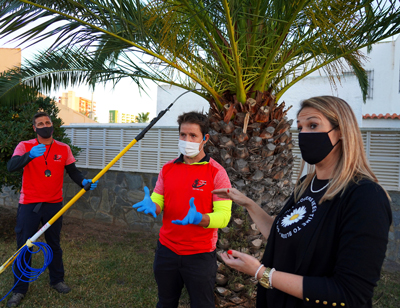 Noticia de Almera 24h: Las labores de control y tratamiento de palmeras ante el picudo rojo entran en fase de lucha biolgica