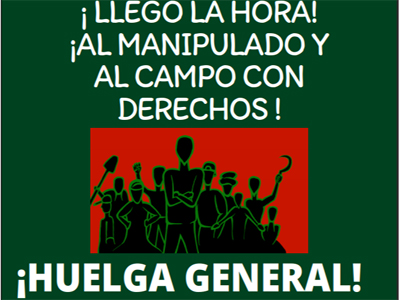El Sindicato de Obreros del Campo a favor de la huelga del sector hortofrutícola de Almería