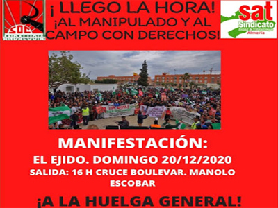 El Sindicato de Obreros del Campo llama a manifestarse este domingo en El Ejido