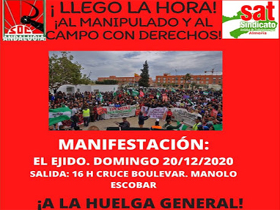 Noticia de Almera 24h: El Sindicato de Obreros del Campo llama a manifestarse este domingo en El Ejido