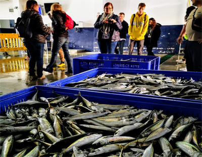 Noticia de Almería 24h: El desembarco de pescado en la Lonja del Puerto de Almería cayó un 5,9% el pasado año