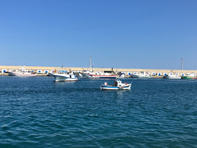 Noticia de Almería 24h: El alcalde pedirá en pleno apoyo a la propuesta del sector pesquero para reordenar su Puerto