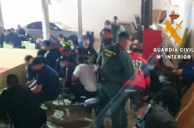 Noticia de Almería 24h: La Guardia Civil disuelve una pelea de gallos en la que se concentraban 89 personas en El Ejido