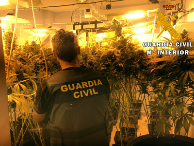 Tras el aviso del hallazgo de un cadáver, la Guardia Civil encuentra una plantación de marihuana