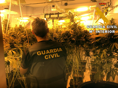 Noticia de Almera 24h: Tras el aviso del hallazgo de un cadver, la Guardia Civil encuentra una plantacin de marihuana