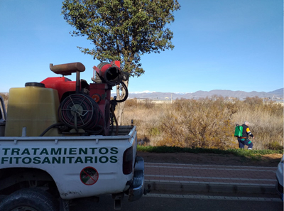 El Ayuntamiento de El Ejido lucha contra los mosquitos con nuevos tratamientos larvicidas en imbornales, lagos y zonas de vegetacin 