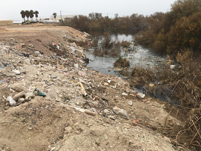 Noticia de Almera 24h: El GEM pide una actuacin de emergencia para salvar la Charca Sotomontes en El Ejido