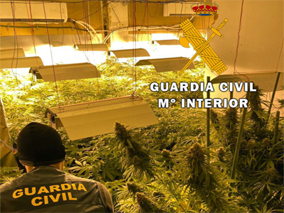 Noticia de Almería 24h: Tres detenidos por usurpar una vivienda para plantar marihuana
