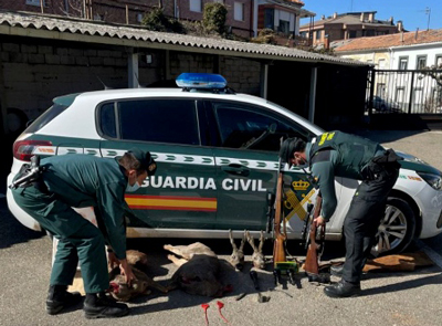 Noticia de Almería 24h: Más de 300 personas detenidas o investigadas por delitos contra la biodiversidad