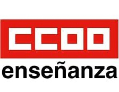 Noticia de Almera 24h: El Sindicato Provincial de Enseanza de CCOO Almera realiza su 13 Congreso provincial