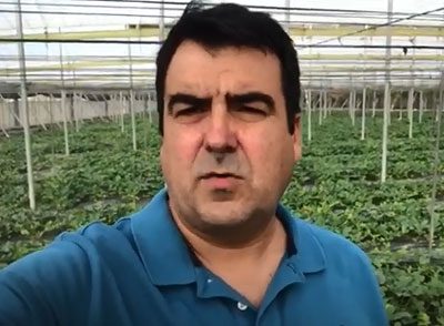 Noticia de Almería 24h: Pillan a Carrefour vendiendo melones de Brasil como si fueran españoles