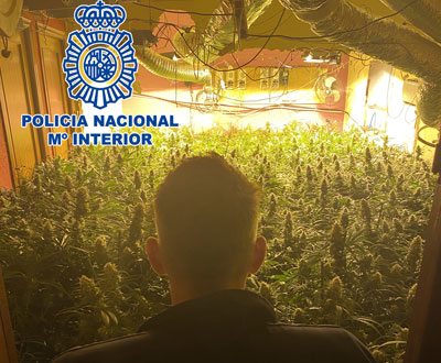 Noticia de Almería 24h: 47 detenidos durante el primer trimestre por la Policía Nacional, con delitos relacionados con el tráfico de drogas