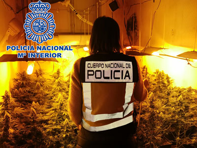 Noticia de Almería 24h: La Policía Nacional en Almería detiene a cuatro personas en un nuevo golpe policial contra el cultivo de marihuana en el interior de viviendas 