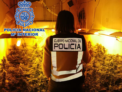 Noticia de Almera 24h: La Polica Nacional en Almera detiene a cuatro personas en un nuevo golpe policial contra el cultivo de marihuana en el interior de viviendas 