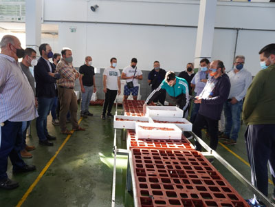 Noticia de Almería 24h: El Ayuntamiento colabora con el sector pesquero en la adquisición de 20 mesas para la subasta de pescado 
