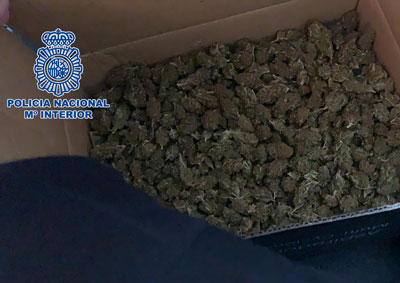 Noticia de Almería 24h: Dos detenidos al intentar enviar marihuana a Bélgica a través de una empresa de paquetería