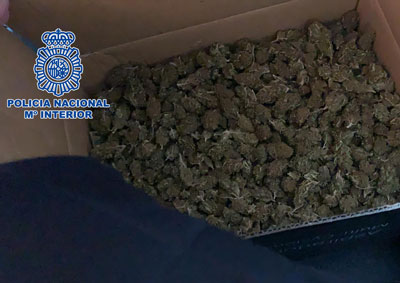 Noticia de Almera 24h: Dos detenidos al intentar enviar marihuana a Blgica a travs de una empresa de paquetera