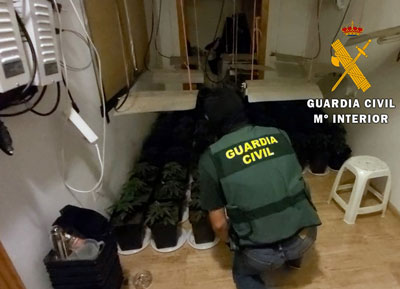 Noticia de Almería 24h: Descubren 88 plantas de marihuana en una vivienda habitada por dos menores y una mujer en estado de gestación