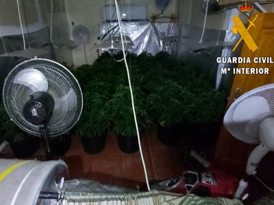 La Guardia Civil detiene a una persona por cultivar marihuana en el sótano de su vivienda