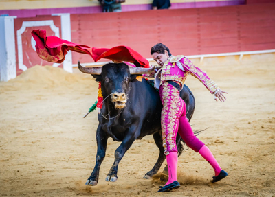 Noticia de Almera 24h: La Plaza de Toros de Roquetas de Mar retoma su actividad taurina con el XXVII Ciclo de Novilladas