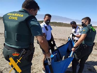Noticia de Almería 24h: La Guardia Civil presta seguridad y apoyo en dos varamientos de delfines en el litoral de Almería