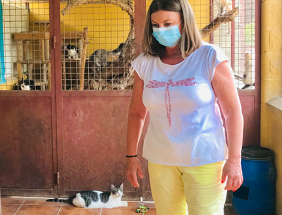 Noticia de Almería 24h: Ayuntamiento y asociaciones animalistas continúan trabajando por regular y controlar las colonias felinas