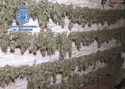 La Policía Nacional desarticula en Almería un clan familiar dedicado al cultivo de marihuana