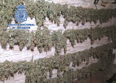 La Polica Nacional desarticula en Almera un clan familiar dedicado al cultivo de marihuana