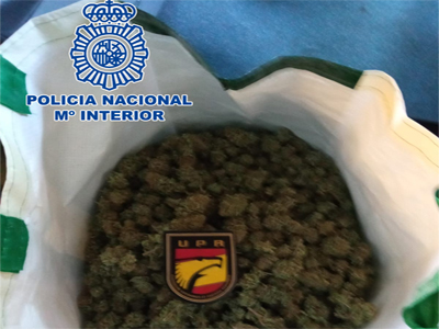 Noticia de Almería 24h: Dos detenidos transportando más de un kilo de marihuana a plena luz del día en el barrio de los Almendros