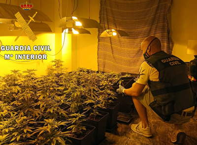 Noticia de Almería 24h: La Guardia Civil localiza e intervine en Garrucha un cultivo indoor de marihuana y detiene a su responsable 