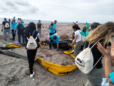 Noticia de Almería 24h: Limpiar playas para cambiar el mundo