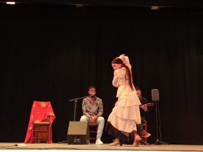 Noticia de Almería 24h: Huércal de Almería celebra el Día Internacional del Flamenco coincidiendo con los actos del 25 aniversario de la Peña Flamenca El Ciego de la Playa