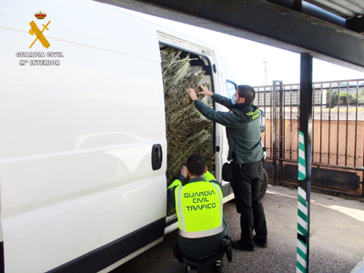 La Guardia Civil detiene a una persona que transportaba 500 kilogramos de marihuana por la A-7