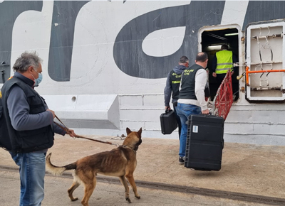 Un simulacro con un falso artefacto explosivo moviliza a la tripulacin de un ferri y a las fuerzas de seguridad en el Puerto de Almera 