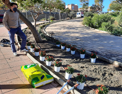 ‘Replantarnos contra el cambio climtico’ inicia su proyecto plantando rboles en Villa Ins y Las Mascaranas