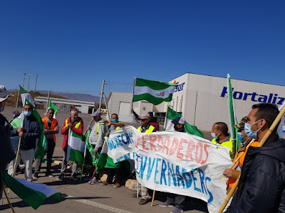 Noticia de Almera 24h: Marcha de los trabajadores en huelga de Hortigata