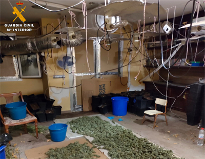 Detenido el responsable de una plantación de marihuana en el interior de una vivienda
