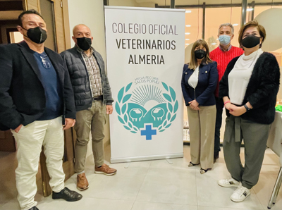 Noticia de Almería 24h: Reunión entre Ayuntamiento y Colegio de Veterinarios para establecer líneas de colaboración en la protección de las colonias felinas 